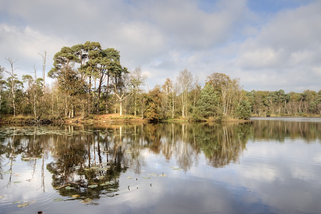 Oisterwijkse Bossen en Vennen Kampina natuurgebied natuur oisterwijk Nationaal park Landschap Het Groene Woud hei heide bossen natuurmonumenten brabant baronie boswachterij dorst